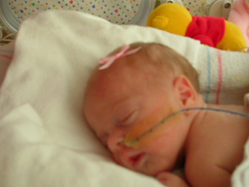 maggie8-15 (3)